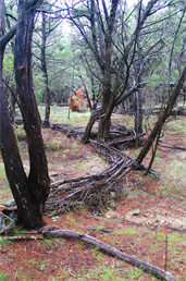 Land Art in Texas, By Artist Dapacu. Austin TX Art Gallery