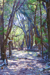 Arts Land Art Museum Exhibition Gallery Show